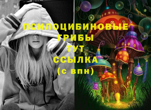 ешки Аркадак