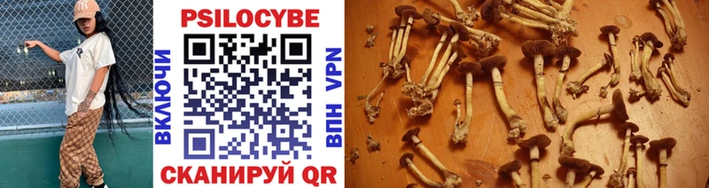 магазин продажи   Рассказово  Галлюциногенные грибы Psilocybe 